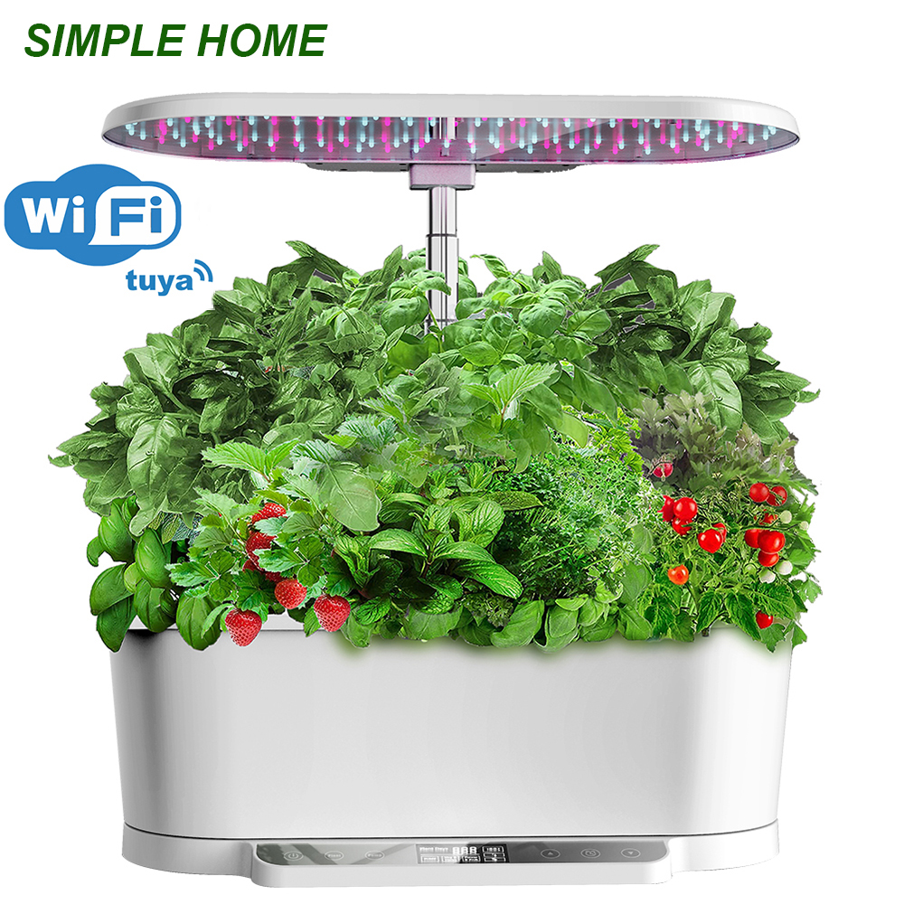 Home Garden, Hydroponic Growin – Smart Home For Pc recenzja i cena