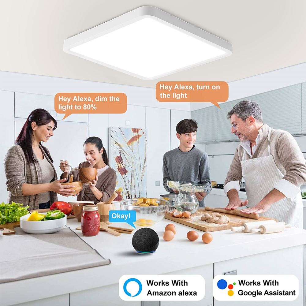 Modern LED Ceiling Light Smart – Smart Home For Pc recenzja i cena