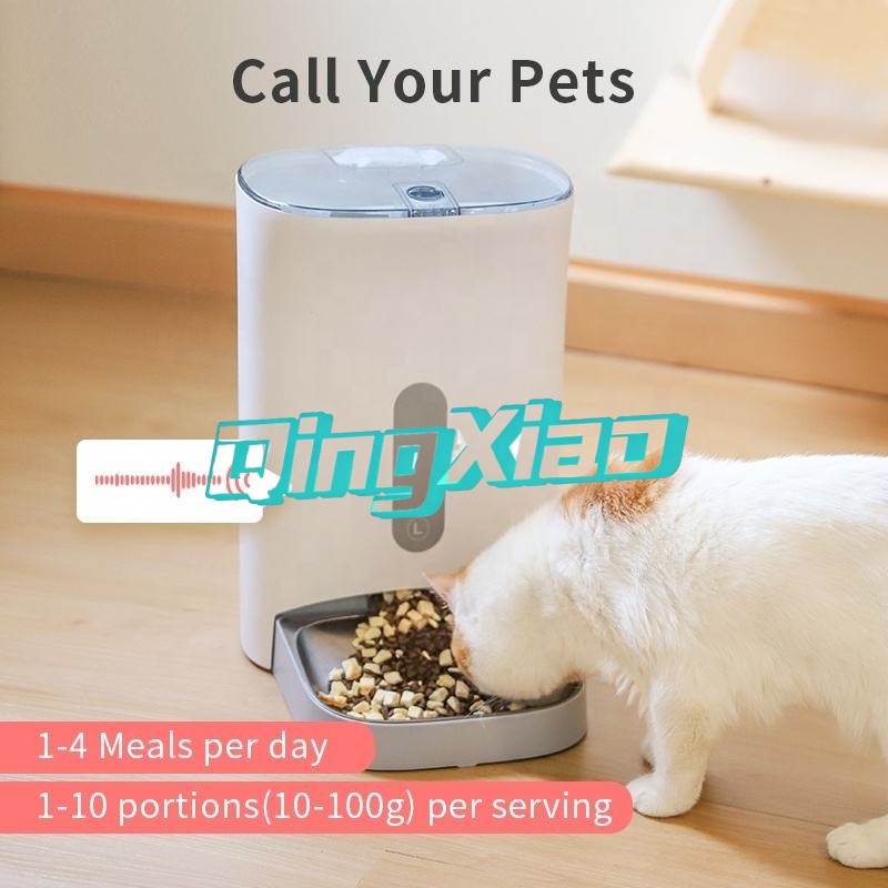 Home Multi Pet Automatic Feede – Smart Home Controller recenzja i cena