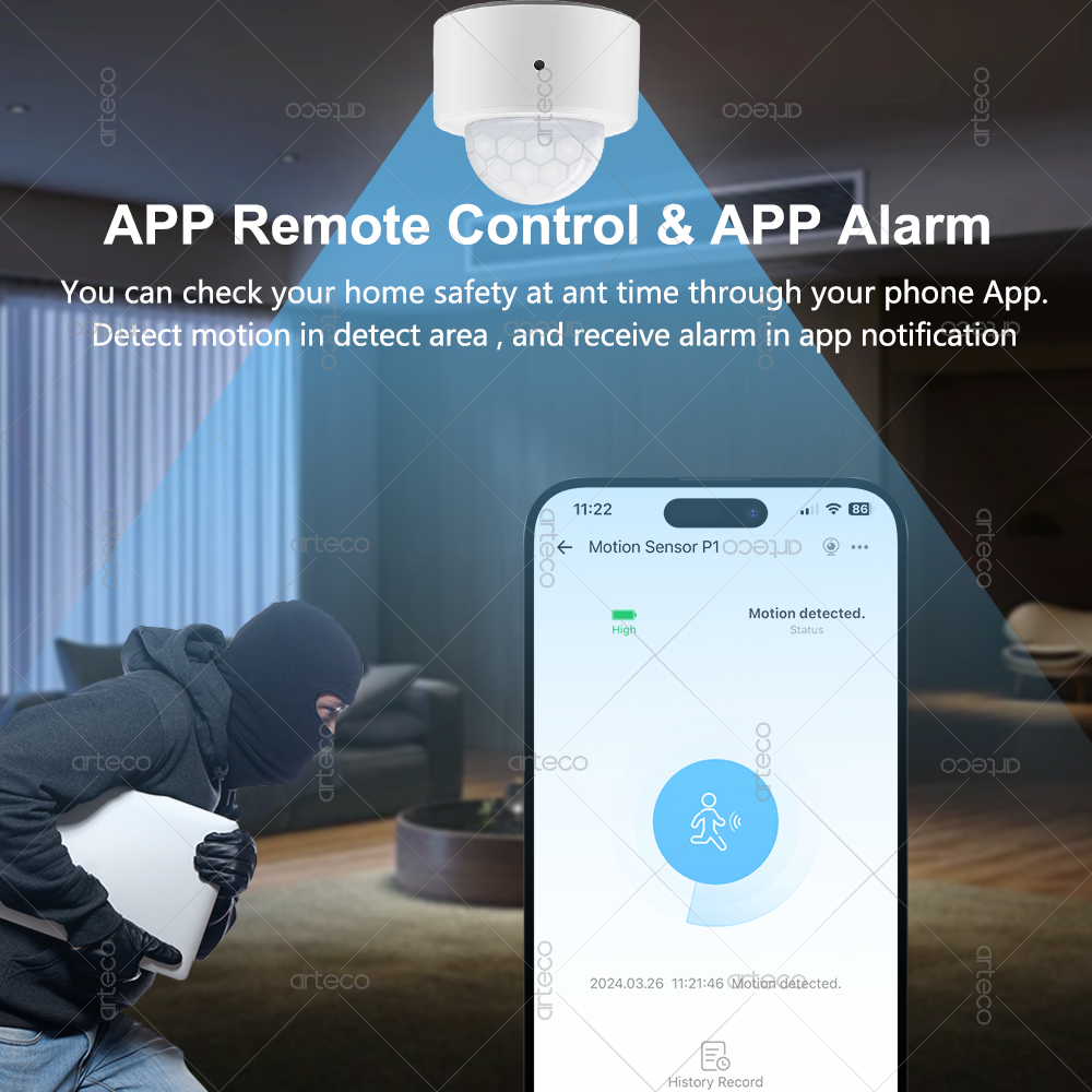 Ewelink Zigbee PIR Motion Sens – Zigbee Motion Sensor recenzja i cena