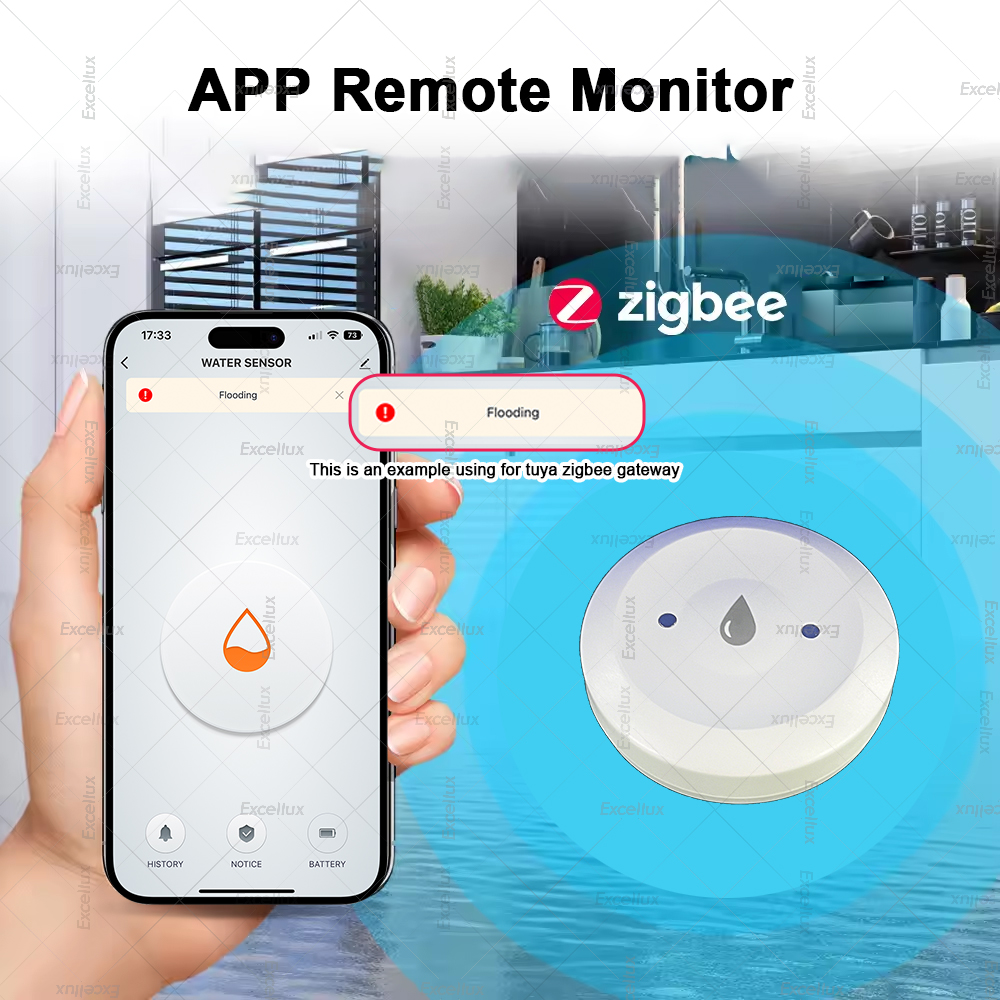 Zigbee Water Detector Leakage  – Wifi Water Sensor recenzja i cena