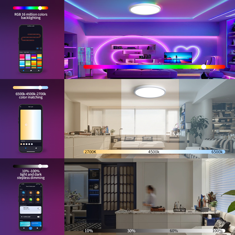 TUYA Ceiling Lamp RGB Flowing  – Smart Home For Pc recenzja i cena