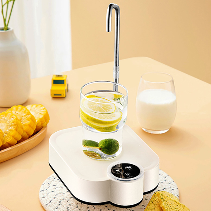 Smart Electric Water Pump Rech – Smart Home Yam Pounder recenzja i cena