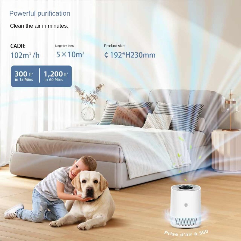 Smart Home Air Purifier with A – Smart Home Controller recenzja i cena