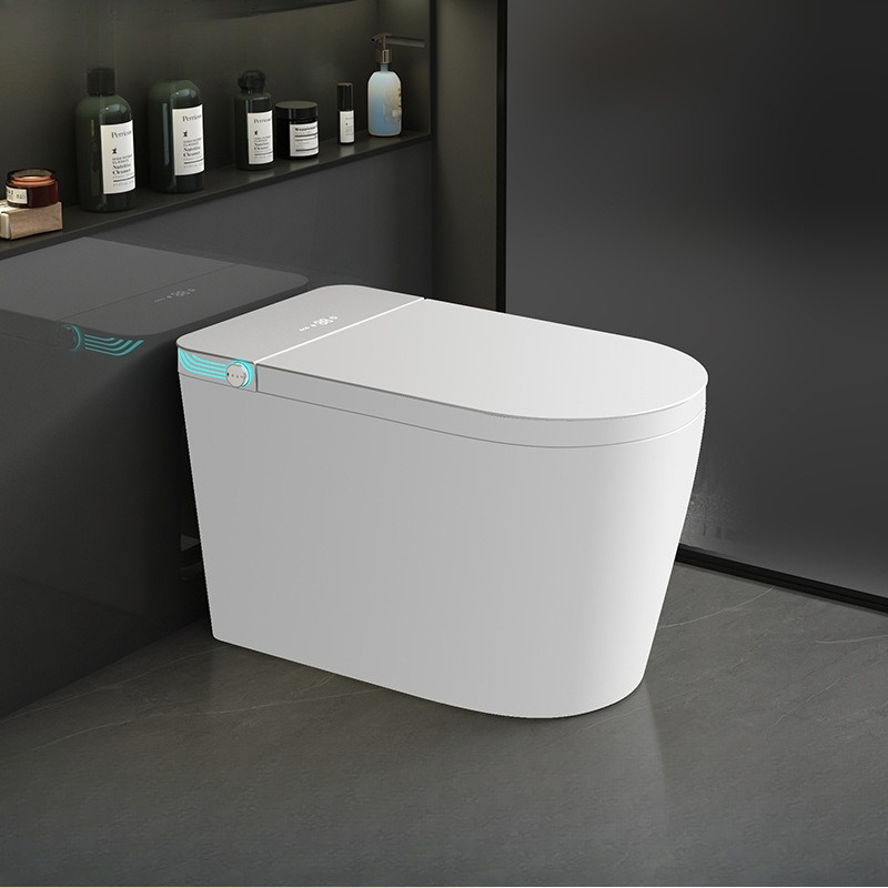 Smart toilet Fully automatic f – Smart Home Controller recenzja i cena