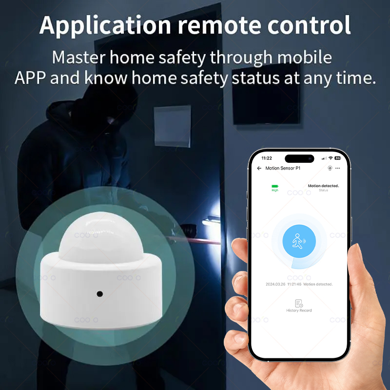 Zigbee Mini PIR Motion Sensor  – Zigbee Motion Sensor recenzja i cena