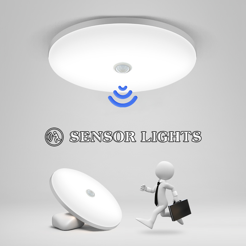 LED Ceiling Lamp PIR Motion Se – Smart Home For Pc recenzja i cena